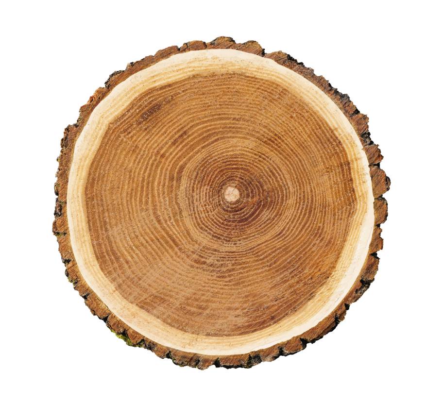 12 DIY Live Edge Table Plans You Can Make Today (with Pictures)