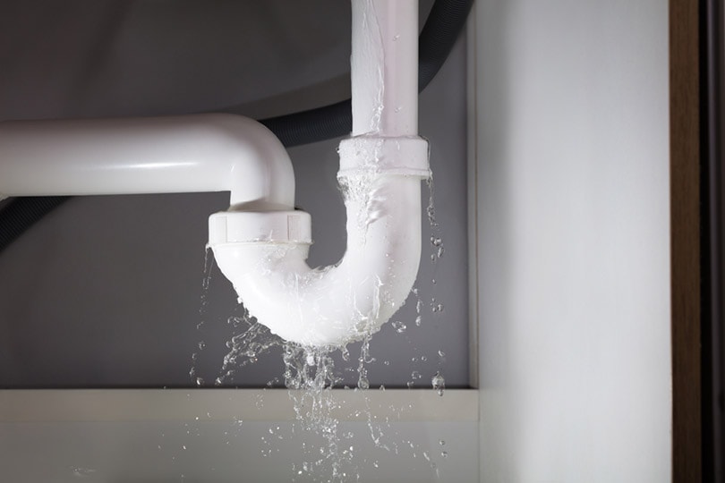 How to Fix Water Damage on Wood Floors in 7 Simple Steps (with Pictures)