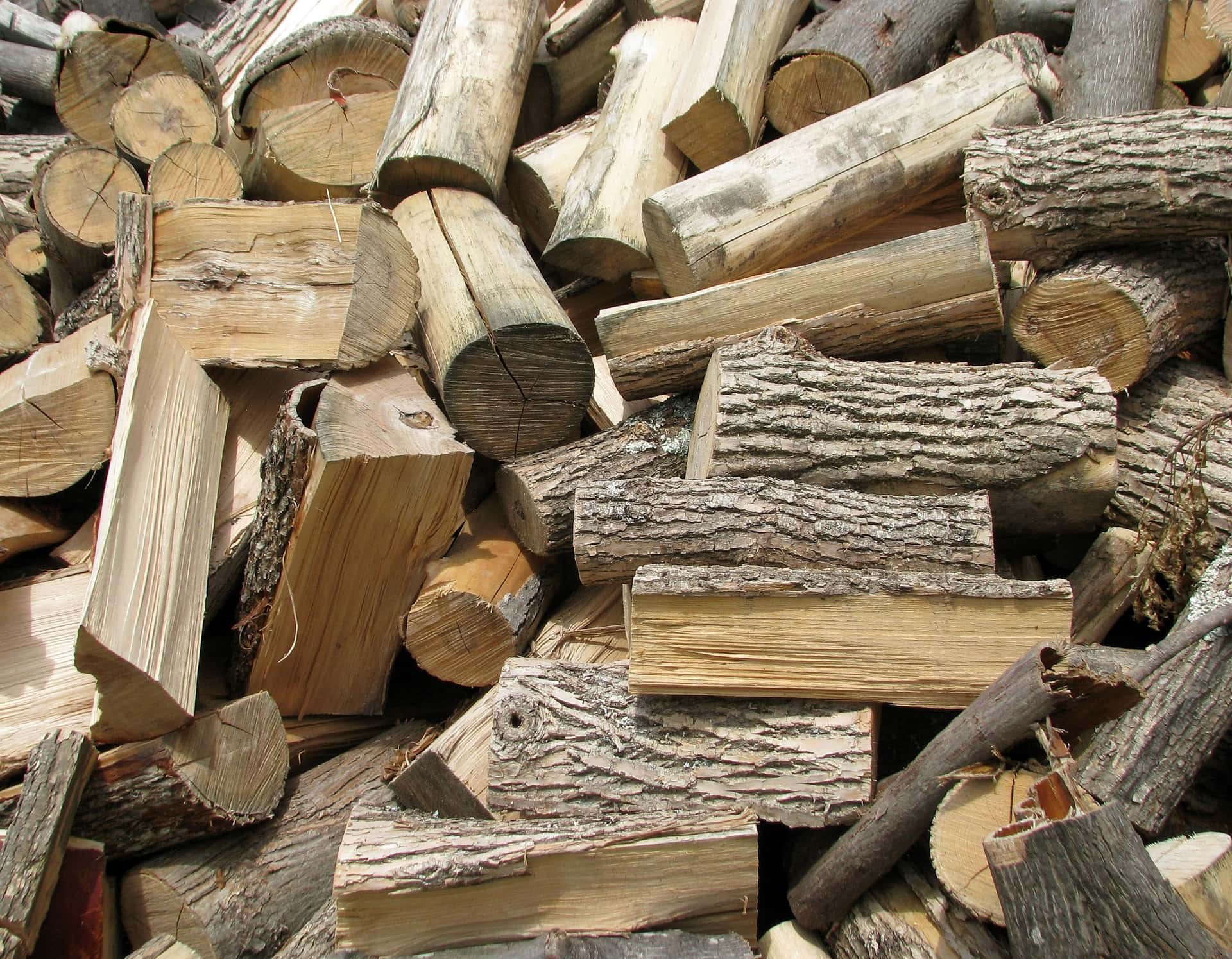 What is the Best Wood for Bending? (With Pictures)