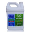 10 Best Lawn Fertilizers of 2022 – Reviews & Top Picks