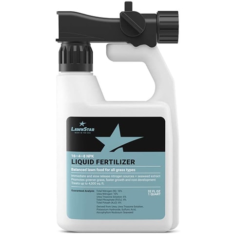 10 Best Lawn Fertilizers of 2022 – Reviews & Top Picks