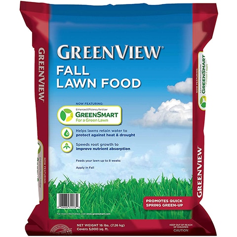 10 Best Lawn Fertilizers of 2022 – Reviews & Top Picks