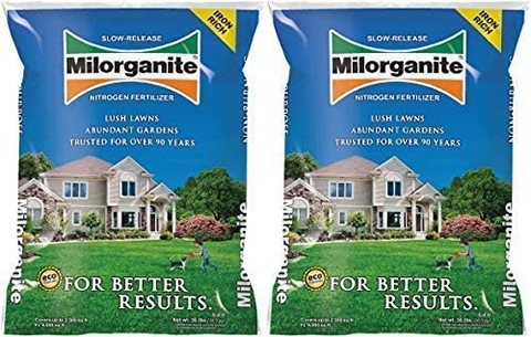 10 Best Lawn Fertilizers of 2022 – Reviews & Top Picks