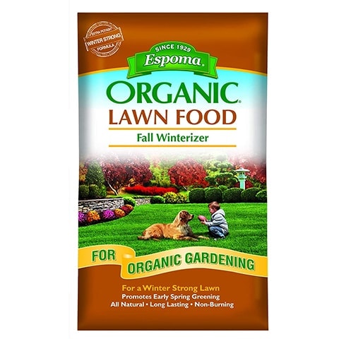 10 Best Lawn Fertilizers of 2022 – Reviews & Top Picks