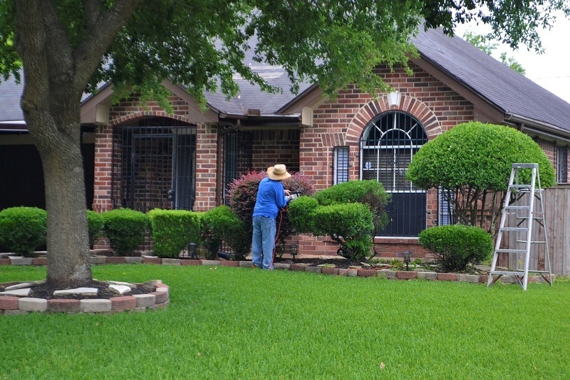 Compost vs. Fertilizer: What’s the Difference?