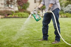 10 Best Weed Killers for Lawns in 2022 &#8211; Reviews &#038; Top Picks