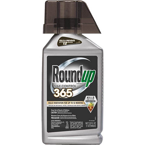 10 Best Weed Killers for Lawns in 2022 – Reviews & Top Picks
