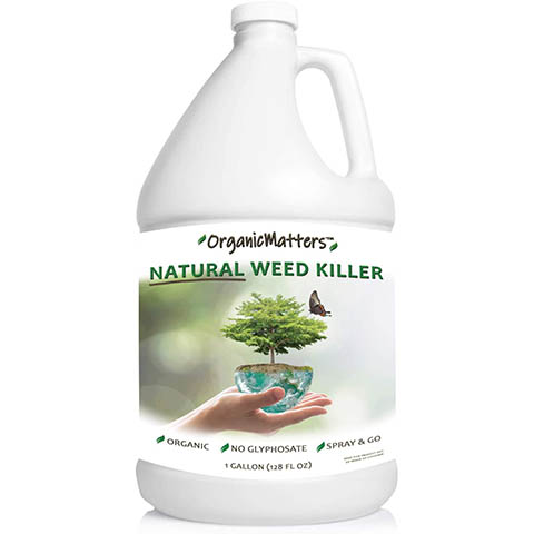 10 Best Weed Killers for Lawns in 2022 – Reviews & Top Picks