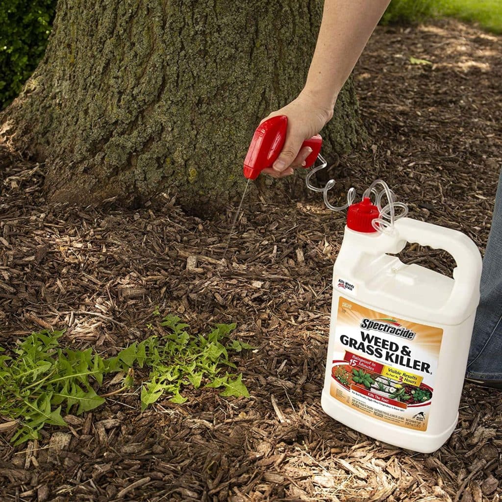 10 Best Weed Killers for Lawns in 2022 – Reviews & Top Picks