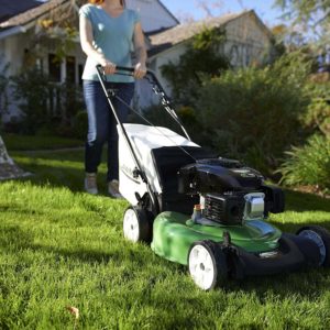 10 Best Self-Propelled Lawn Mowers of 2022 &#8211; Reviews &#038; Top Picks