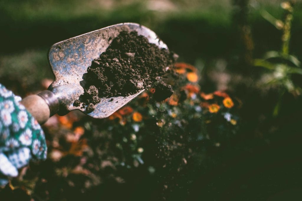 Organic vs. Inorganic Fertilizer: What’re the Pros & Cons?