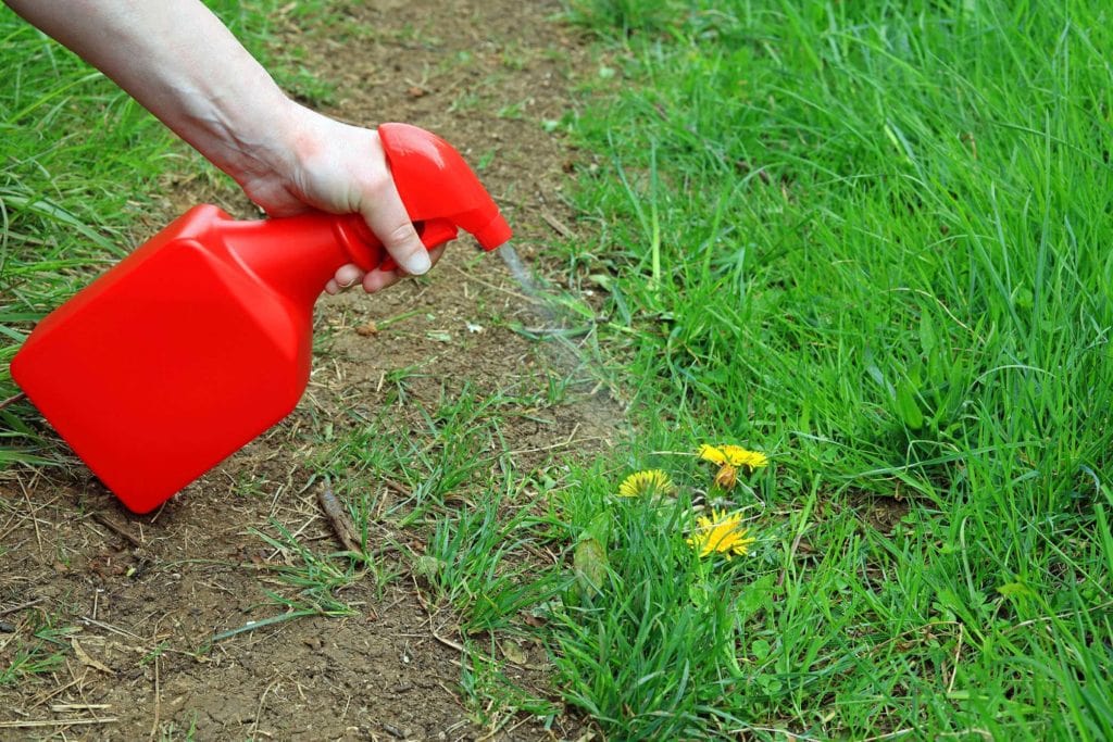 How to Make Natural Weed Killer With Vinegar