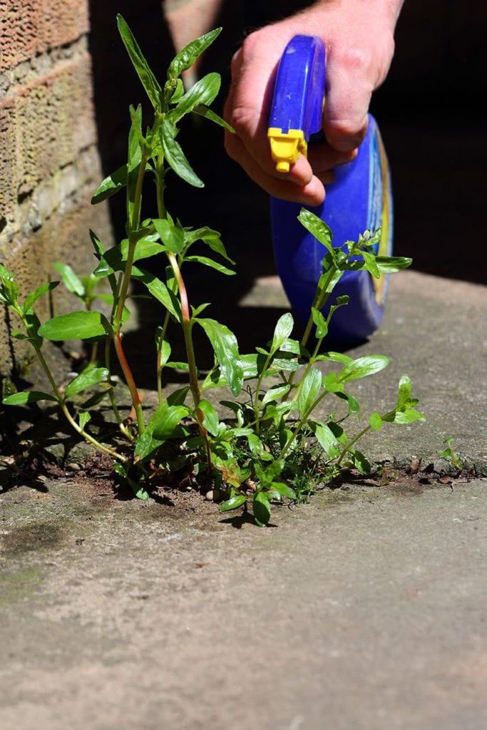 How to Make Natural Weed Killer With Vinegar