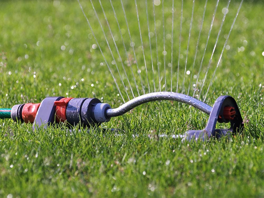 7 Ways to Get Rid of Weeds in Your Lawn
