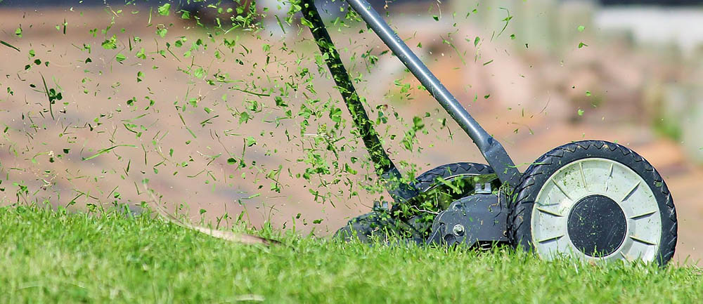7 Ways to Get Rid of Weeds in Your Lawn