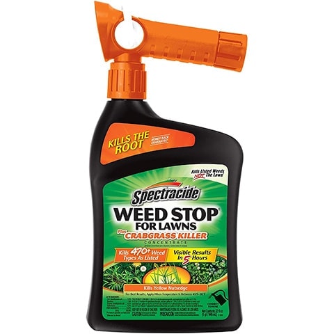 10 Best Clover Killers of 2022 – Reviews & Top Picks