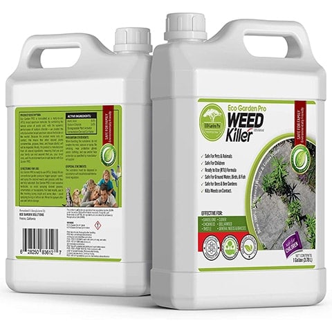 10 Best Clover Killers of 2022 – Reviews & Top Picks
