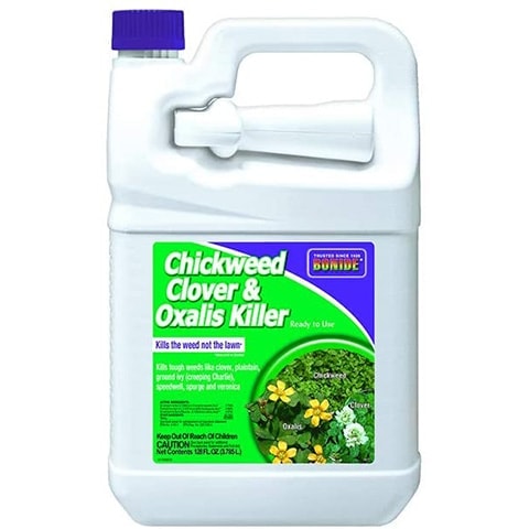 10 Best Clover Killers of 2022 – Reviews & Top Picks