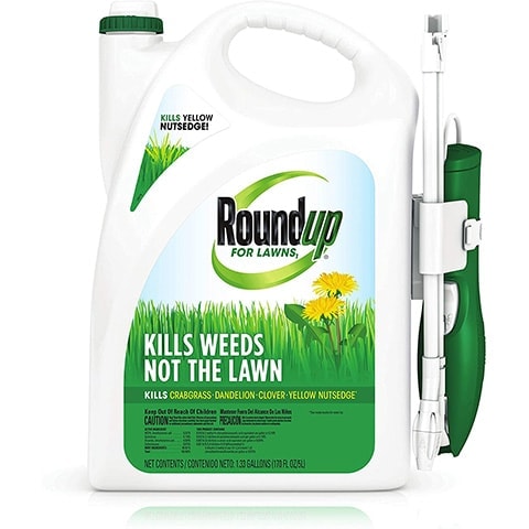 10 Best Clover Killers of 2022 – Reviews & Top Picks