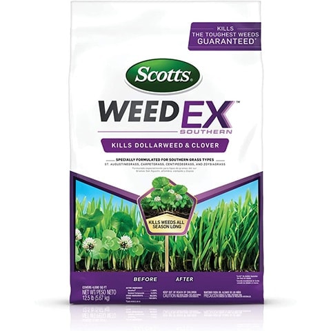 10 Best Clover Killers of 2022 – Reviews & Top Picks
