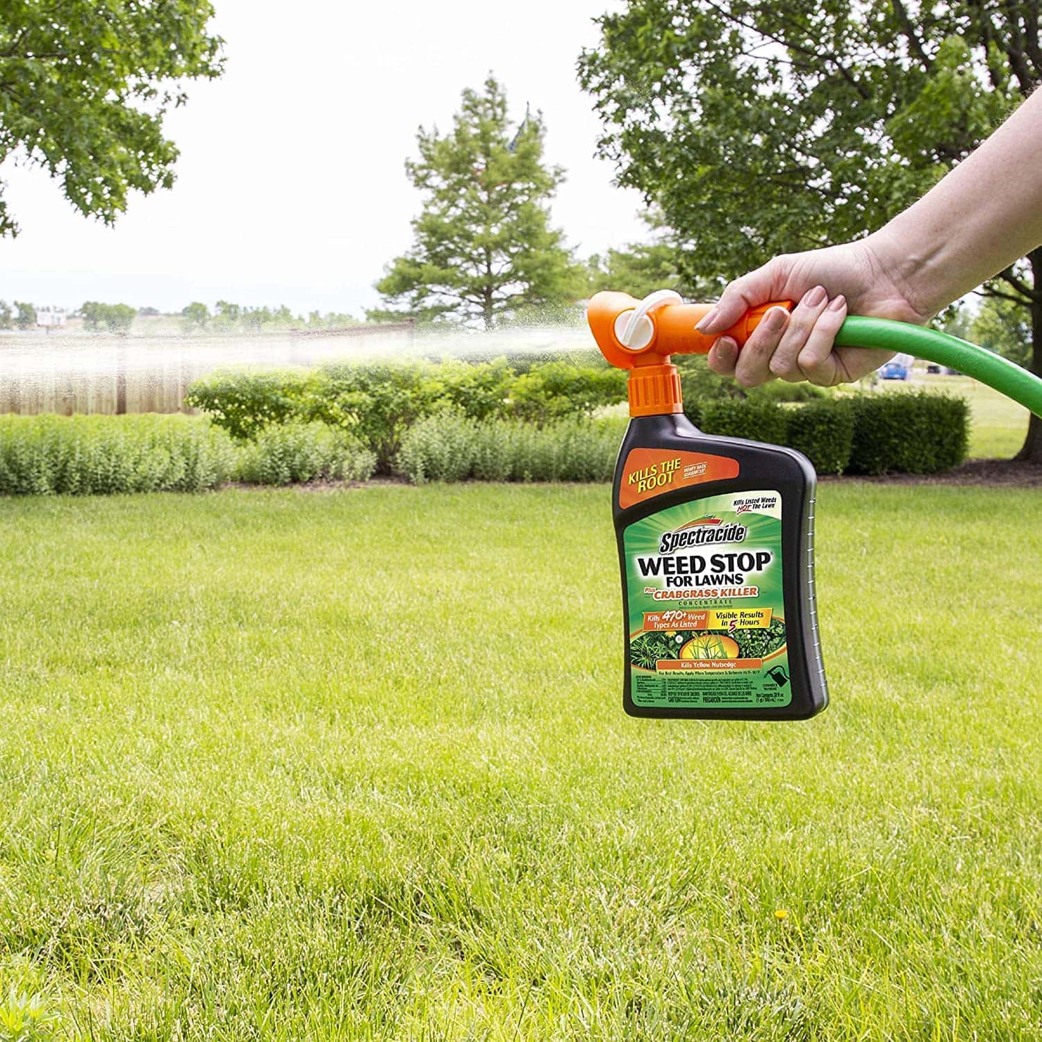 10 Best Clover Killers of 2022 – Reviews & Top Picks