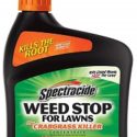 10 Best Dandelion Killers of 2022 – Reviews & Top Picks