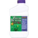 10 Best Dandelion Killers of 2022 – Reviews & Top Picks