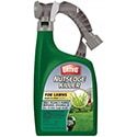 10 Best Dandelion Killers of 2022 – Reviews & Top Picks