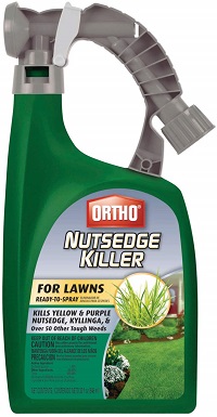 10 Best Dandelion Killers of 2022 – Reviews & Top Picks