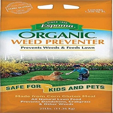 10 Best Dandelion Killers of 2022 – Reviews & Top Picks
