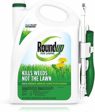 10 Best Dandelion Killers of 2022 – Reviews & Top Picks