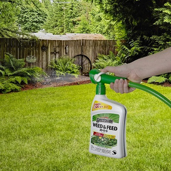 10 Best Dandelion Killers of 2022 – Reviews & Top Picks