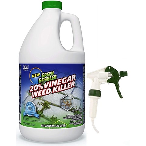 10 Best Crabgrass Killers of 2022 – Reviews & Top Picks