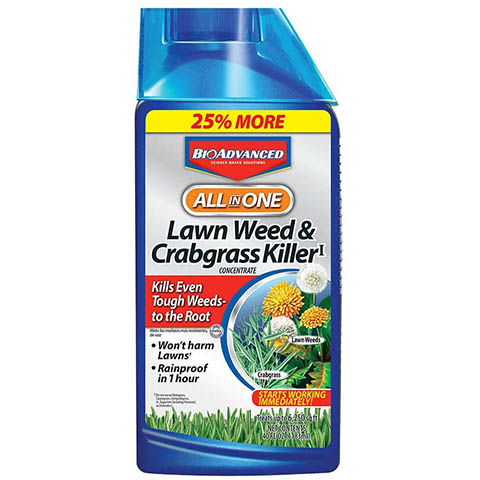 10 Best Crabgrass Killers of 2022 – Reviews & Top Picks