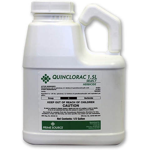 10 Best Crabgrass Killers of 2022 – Reviews & Top Picks