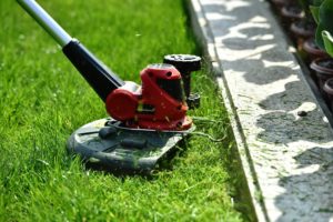 10 Best Cordless Lawn Edgers of 2022 – Reviews & Top Picks