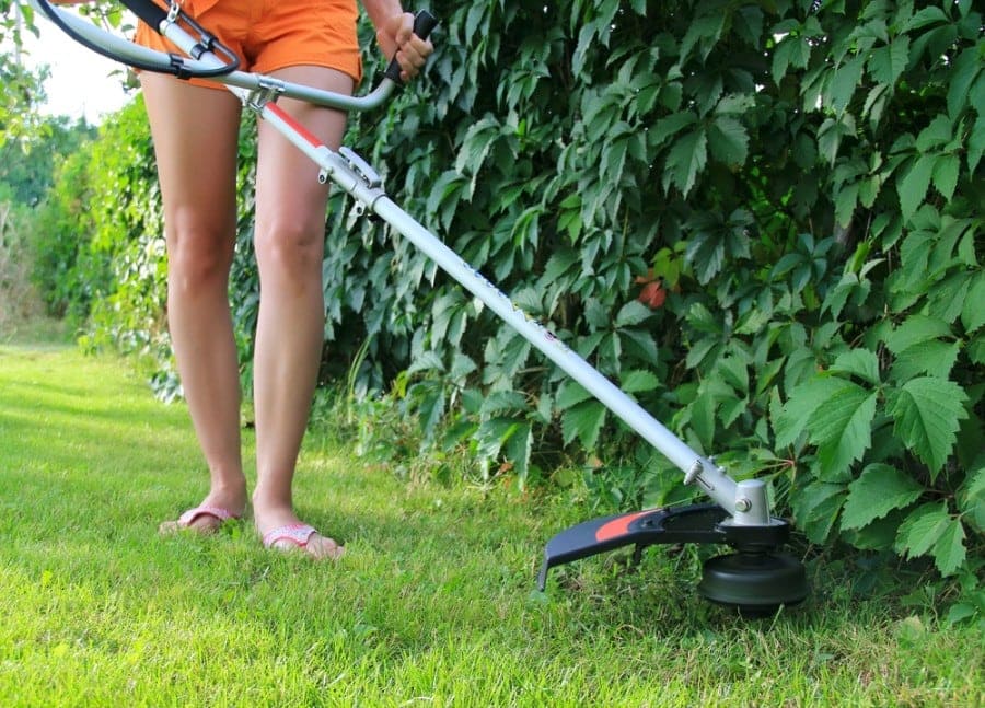 10 Best Cordless Lawn Edgers of 2022 – Reviews & Top Picks