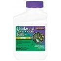 6 Best Broadleaf Weed Killers in 2022 – Reviews & Top Picks