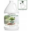 6 Best Broadleaf Weed Killers in 2022 – Reviews & Top Picks