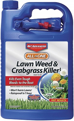 6 Best Broadleaf Weed Killers in 2022 – Reviews & Top Picks