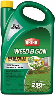 6 Best Broadleaf Weed Killers in 2022 – Reviews & Top Picks