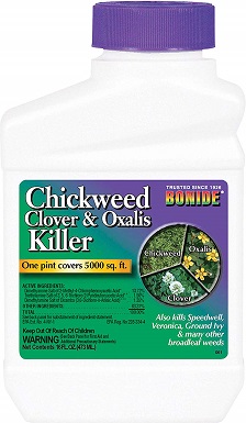 6 Best Broadleaf Weed Killers in 2022 – Reviews & Top Picks