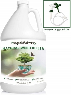 6 Best Broadleaf Weed Killers in 2022 – Reviews & Top Picks