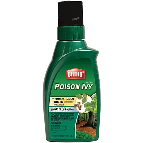 10 Best Poison Ivy Killers of 2022 – Reviews & Top Picks