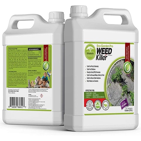 10 Best Poison Ivy Killers of 2022 – Reviews & Top Picks