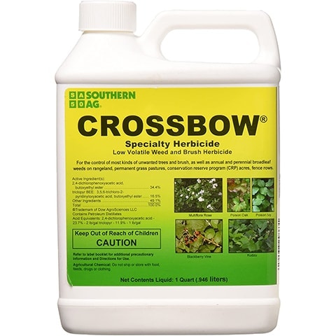 10 Best Poison Ivy Killers of 2022 – Reviews & Top Picks