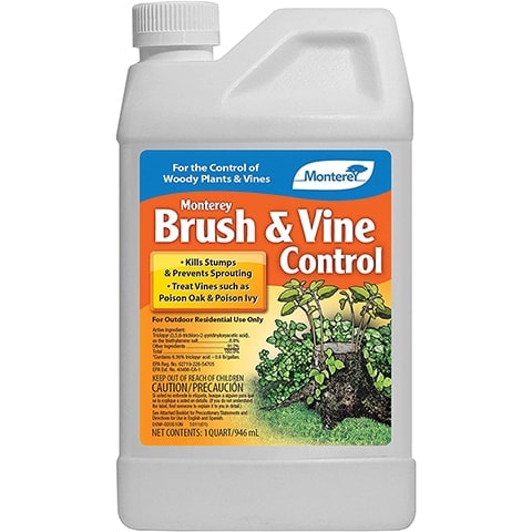 10 Best Poison Ivy Killers of 2022 – Reviews & Top Picks