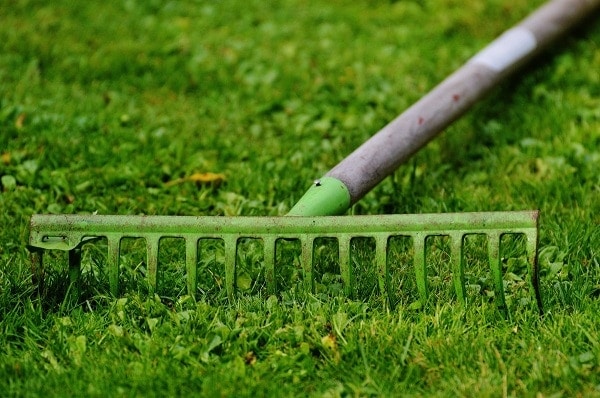 7 Best Bow Rakes of 2022 — Reviews & Top Picks