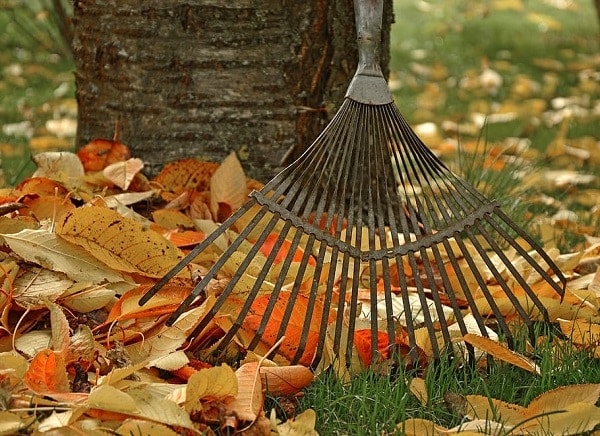 7 Best Bow Rakes of 2022 — Reviews & Top Picks