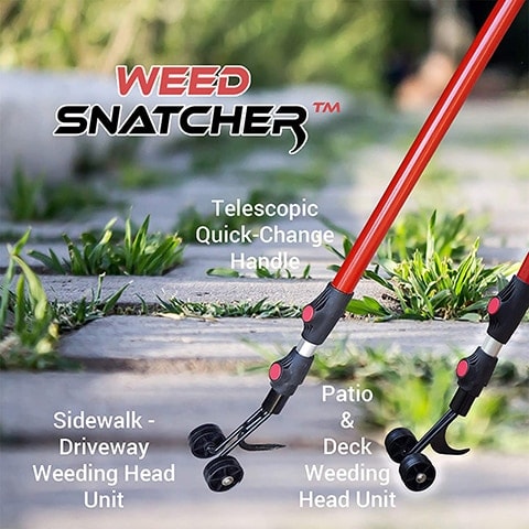 10 Best Weed Removers & Pullers of 2022 — Reviews & Top Picks